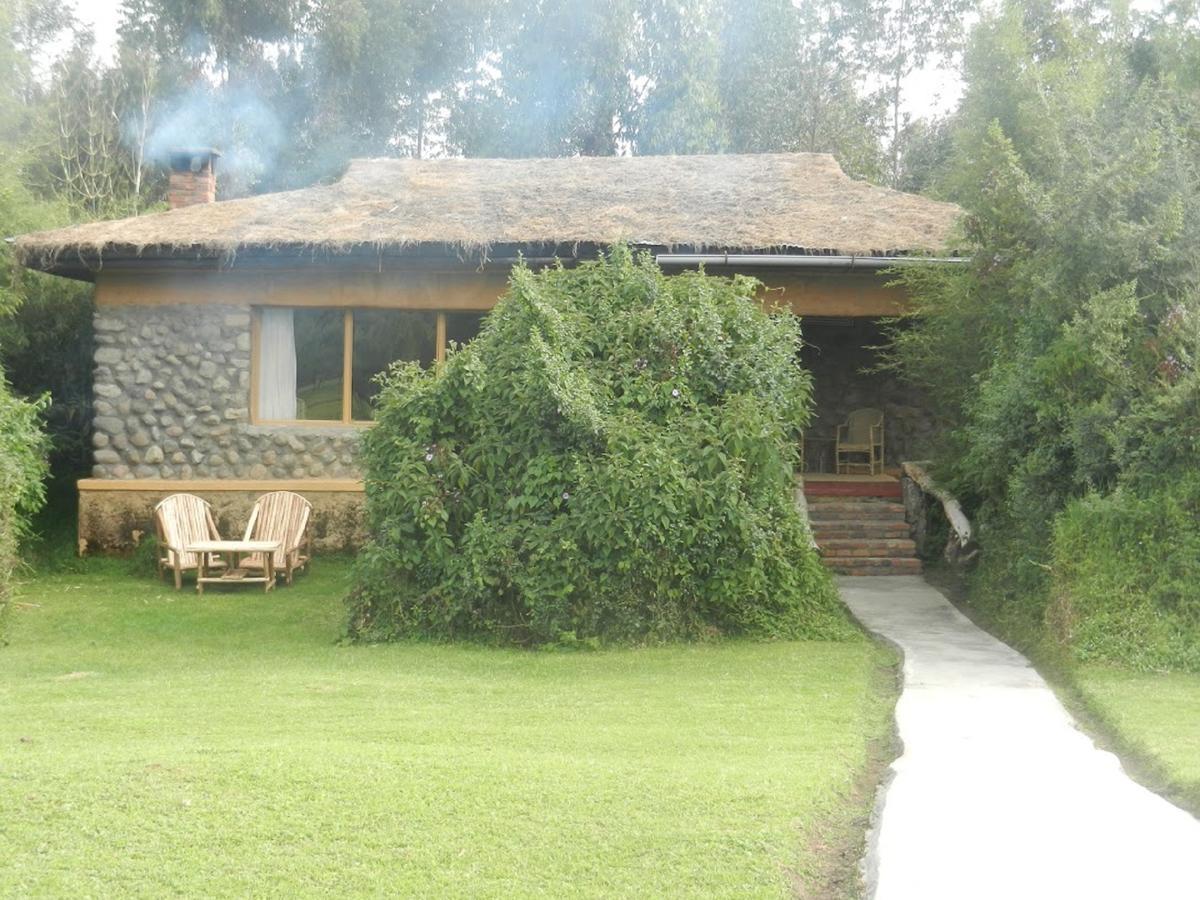 Mountain Gorilla View Lodge Musanze المظهر الخارجي الصورة