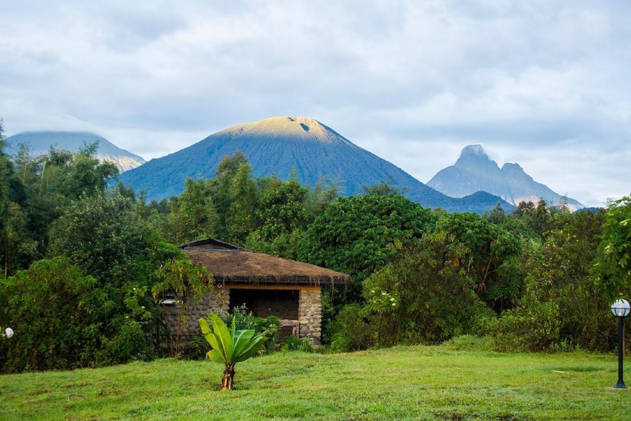 Mountain Gorilla View Lodge Musanze الغرفة الصورة